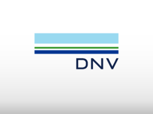 DNV GL 2018 results
